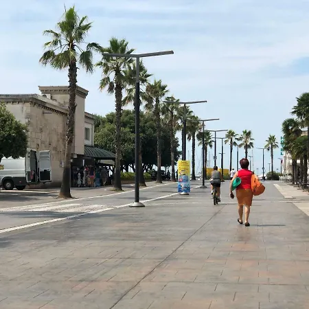 Old Court Palace 게스트하우스 *