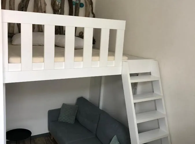 Old Court Palace 招待所 科佩尔