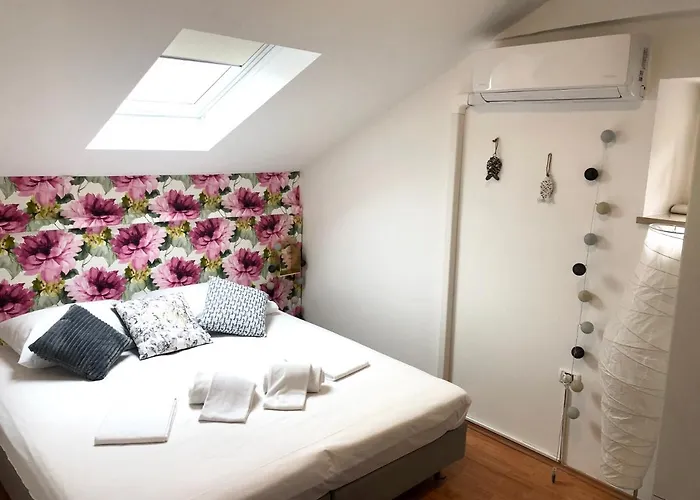 Old Court Palace 招待所 科佩尔