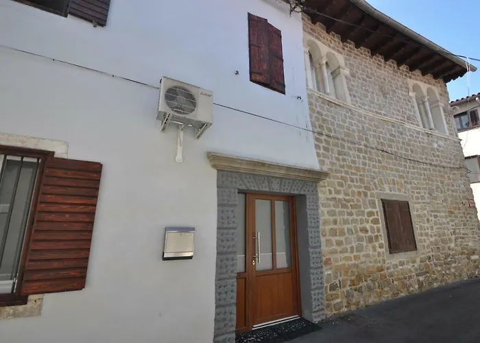 Old Court Palace 招待所 科佩尔