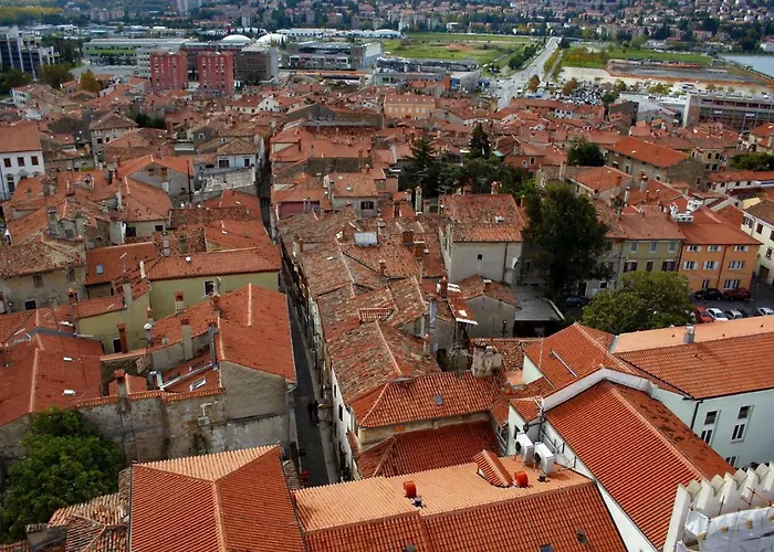 Old Court Palace 招待所 科佩尔