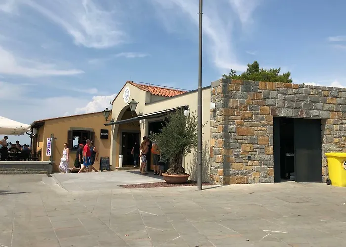 Old Court Palace 科佩尔