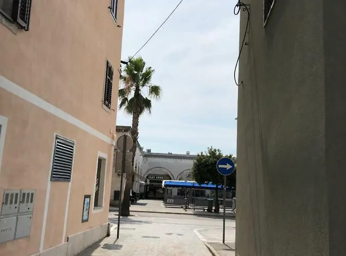 Old Court Palace 招待所 科佩尔