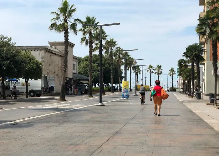 Old Court Palace 招待所 *