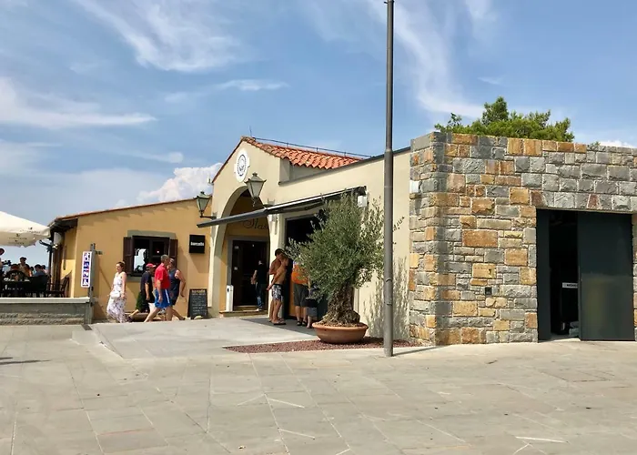 Old Court Palace 招待所 科佩尔