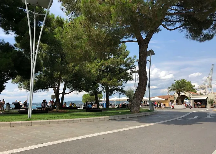 Old Court Palace 科佩尔